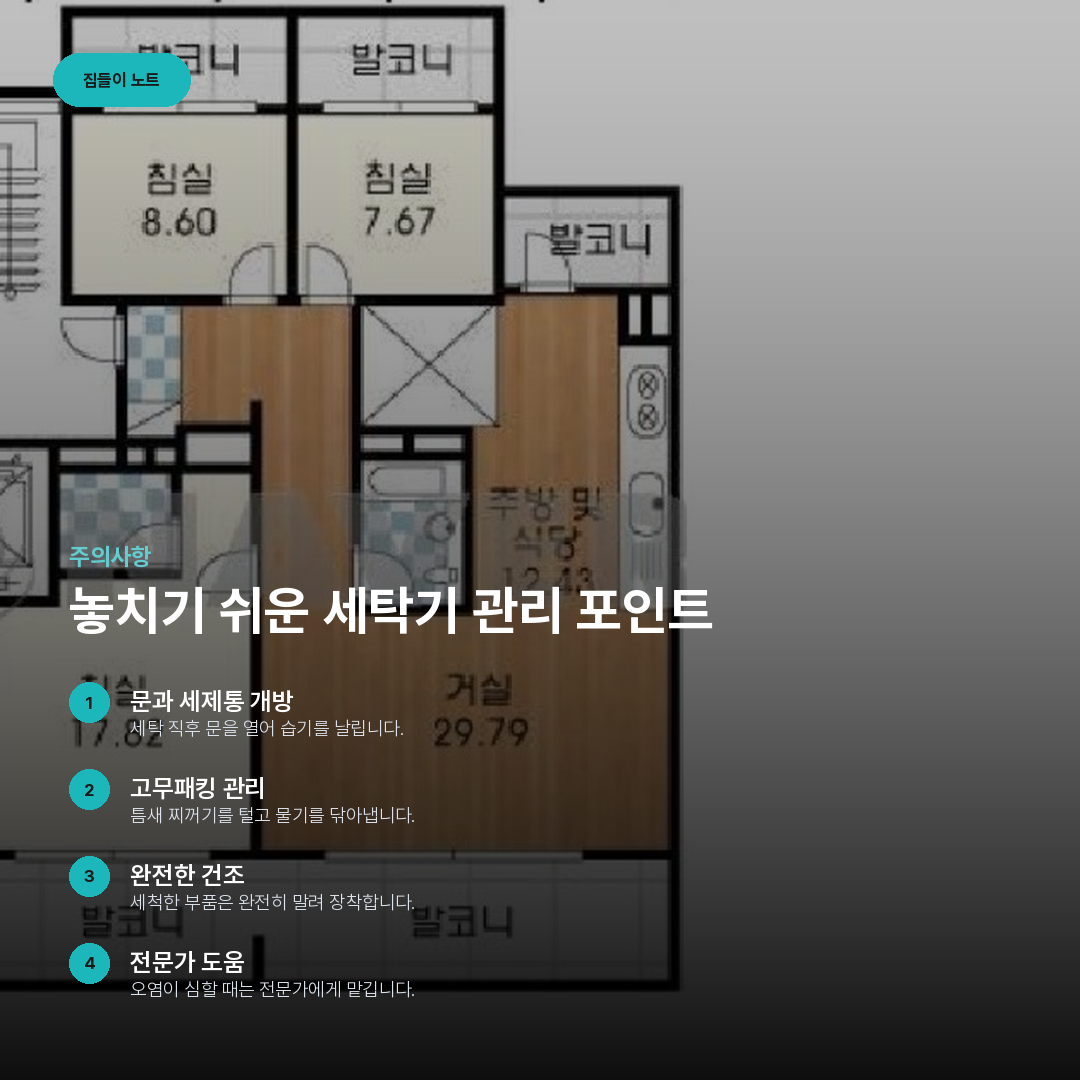 놓치기 쉬운 세탁기 관리 포인트 요약 카드