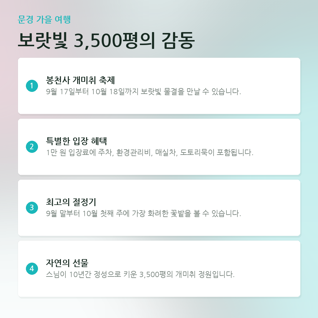 보랏빛 3,500평의 감동 요약 카드