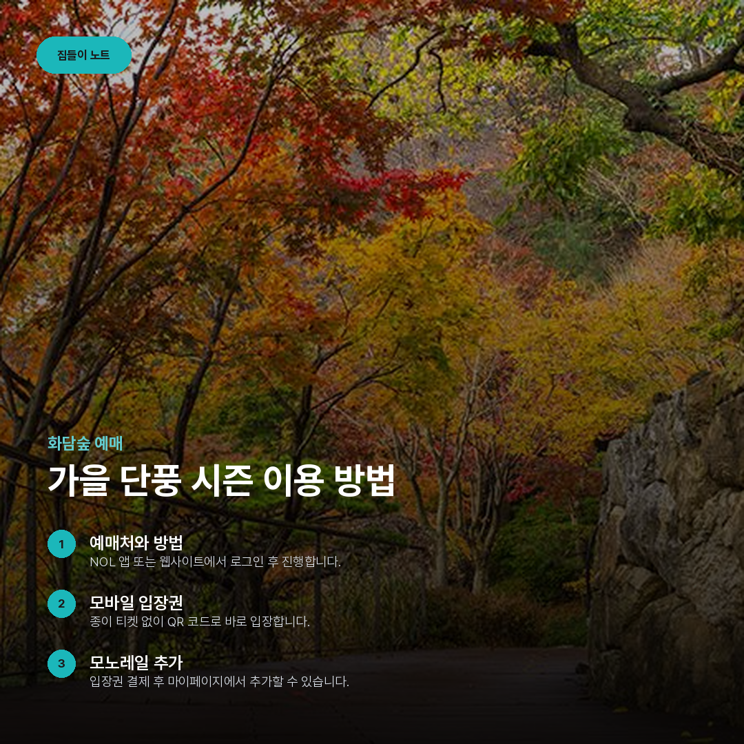 가을 단풍 시즌 이용 방법 요약 카드
