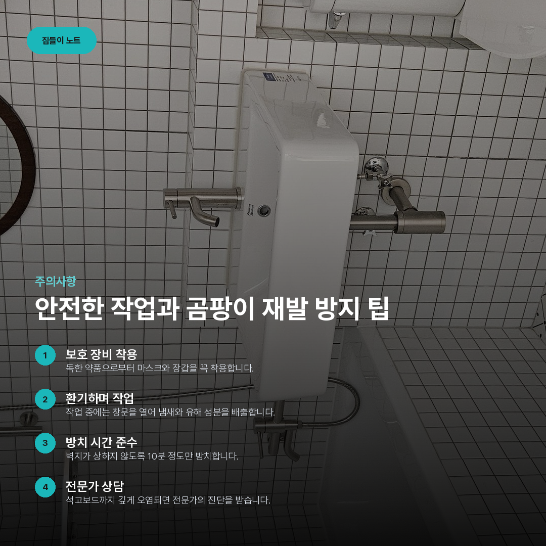 안전한 작업과 곰팡이 재발 방지 팁 요약 카드