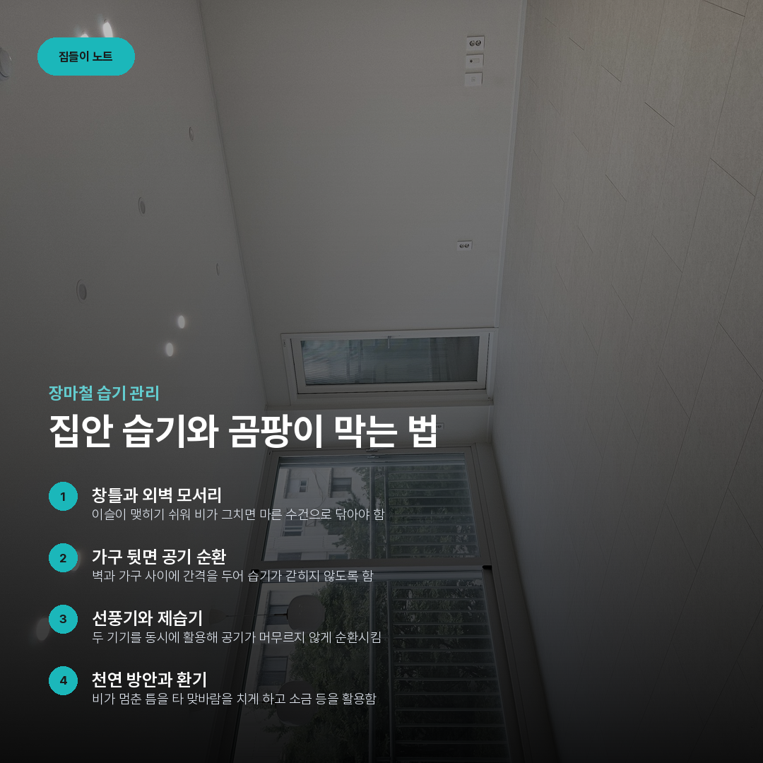 집안 습기와 곰팡이 막는 법 요약 카드