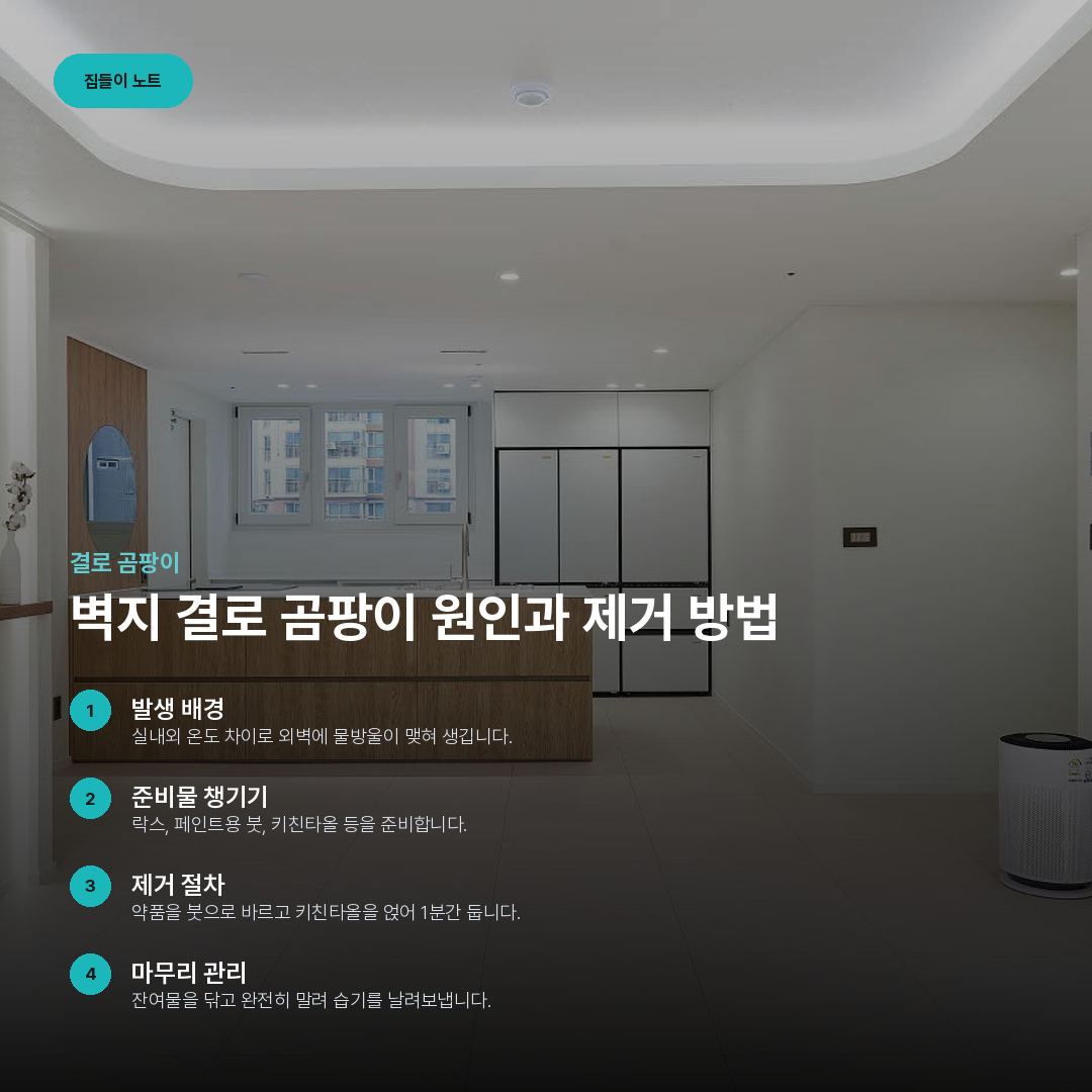 벽지 결로 곰팡이 원인과 제거 방법 요약 카드