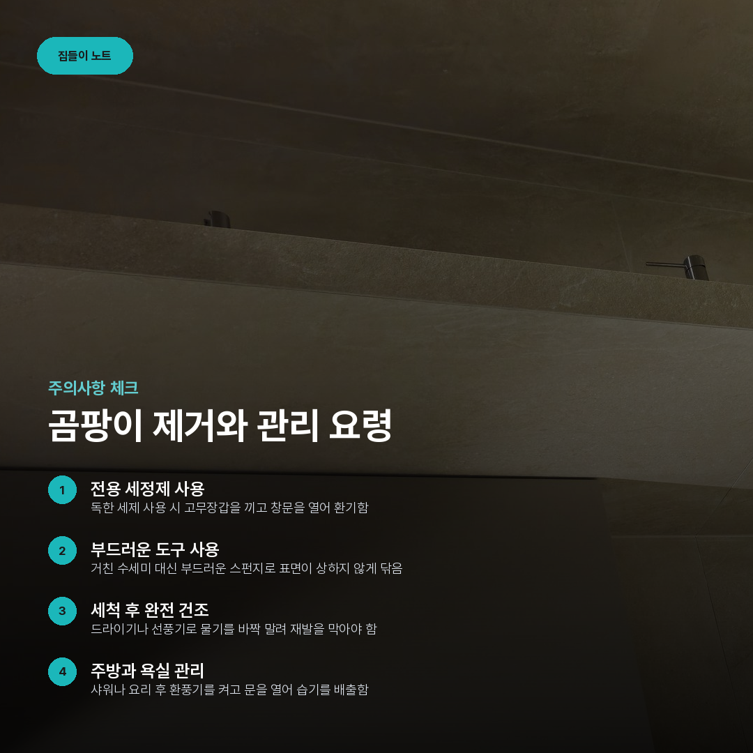 곰팡이 제거와 관리 요령 요약 카드