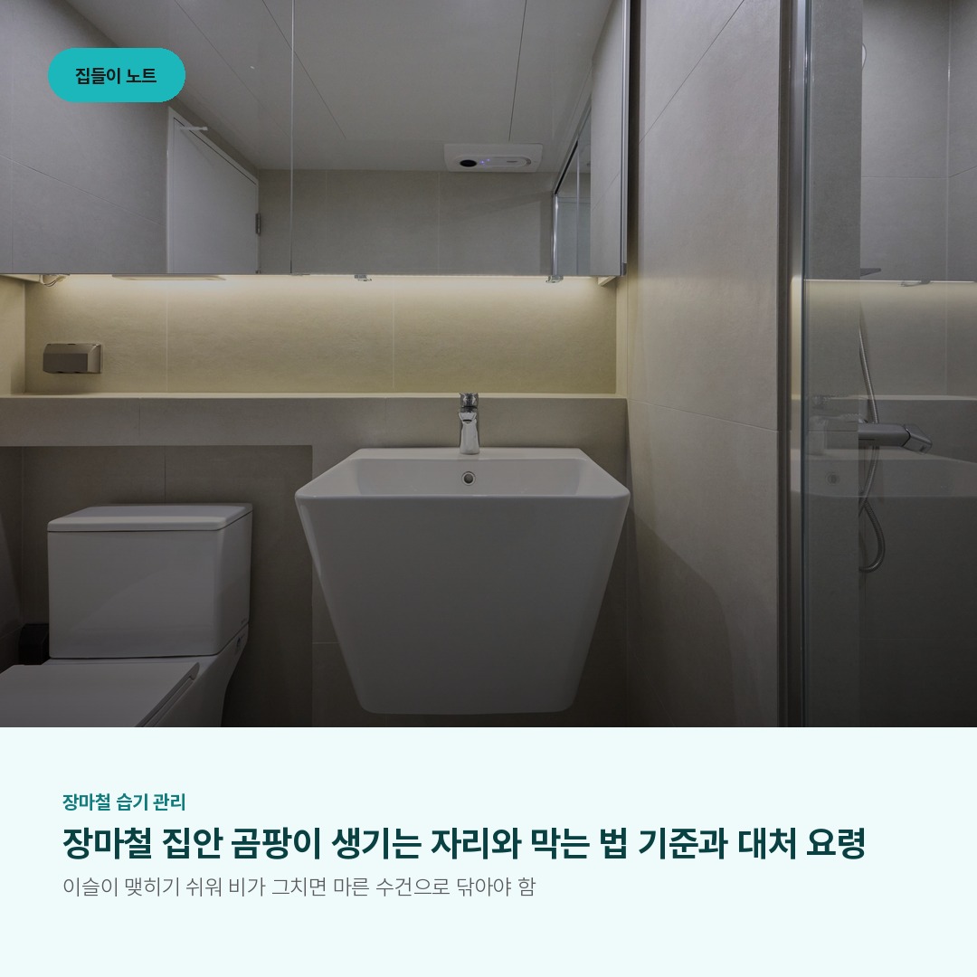 장마철 집안 곰팡이 생기는 자리와 막는 법 기준과 대처 요령