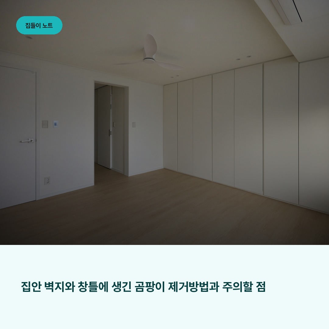 집안 벽지와 창틀에 생긴 곰팡이 제거방법과 주의할 점