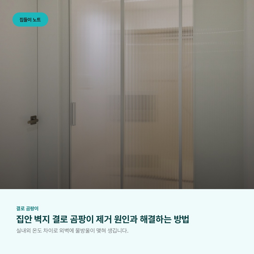 집안 벽지 결로 곰팡이 제거 원인과 해결하는 방법
