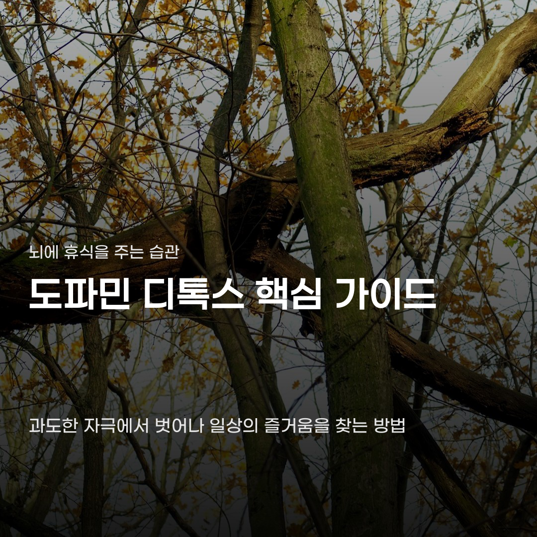도파민 디톡스 성공 여부를 결정짓는 한 가지 차이