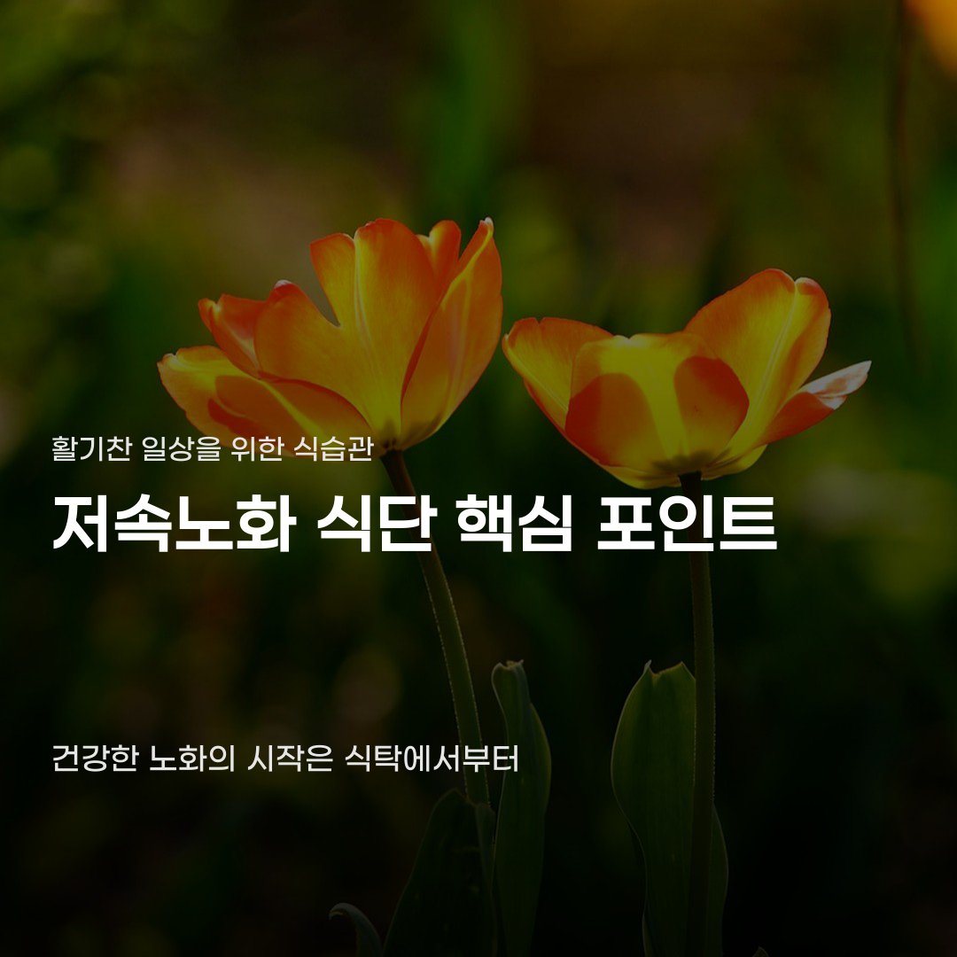 건강하게 먹는 줄 알았는데 저속노화 식단 놓치고 있다면