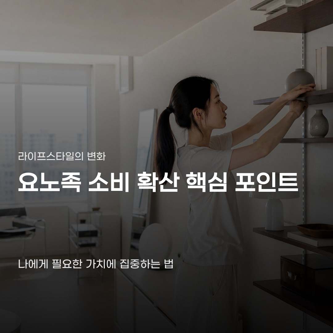 요노족 소비 확산 시대에 진짜 필요한 것만 남기는 법