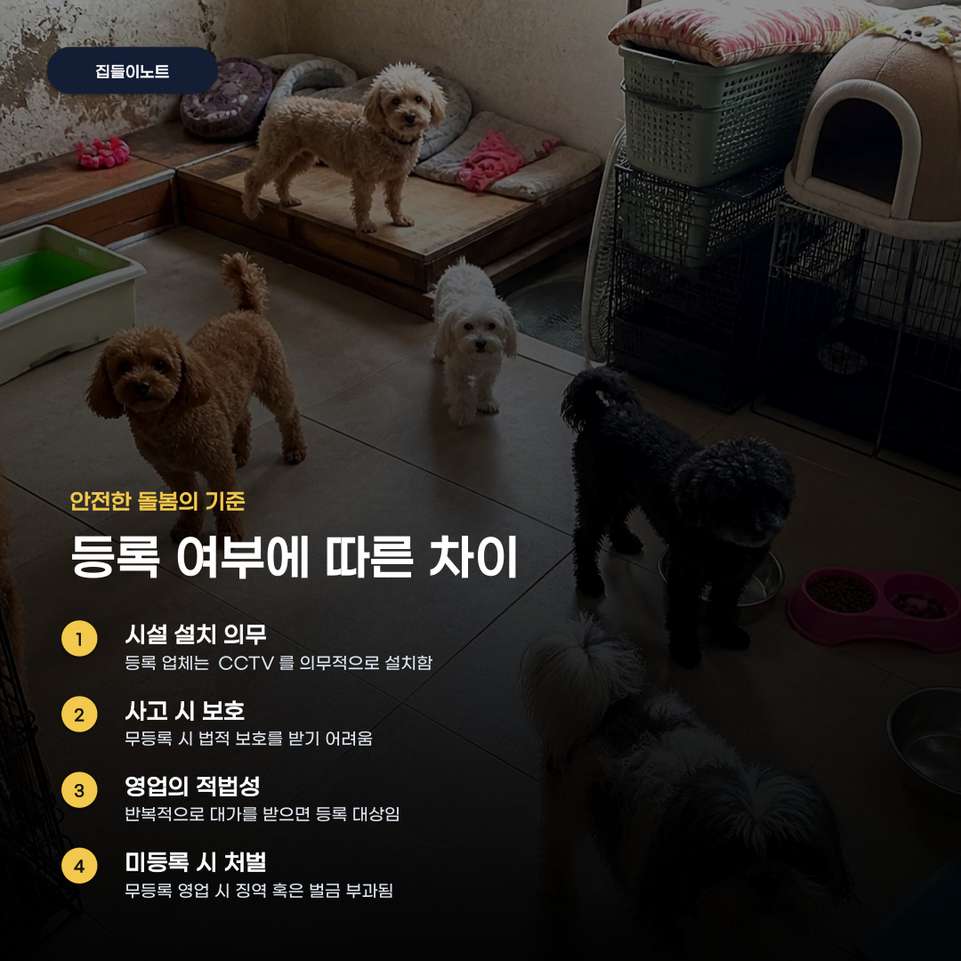 무등록 펫시팅 문제 발생 시 꼭 확인해야 할 사항들